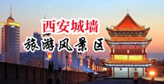 内射小穴视频网站在线观看中国陕西-西安城墙旅游风景区