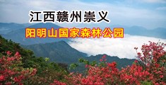 粗大硬爽死你个骚货